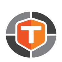 Temasoft logo - Similar company to Lematech Llc