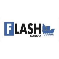 Flash Cargo logo - Similar company to Easy Cargo Soluções