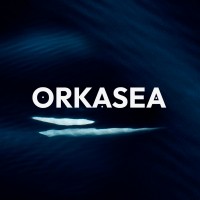 ORKASEA logo - Similar company to The Studio Paris