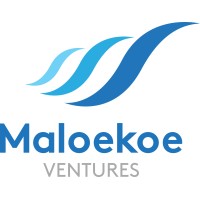 Maloekoe Ventures logo - Similar company to Arise