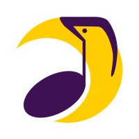Cosmusic App logo - Similar company to Third Eye Analytics