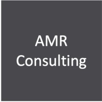 AMR Consulting México logo - Similar company to Satek