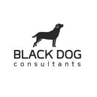 Black Dog Consultants Ltd logo - Similar company to Liba Studio