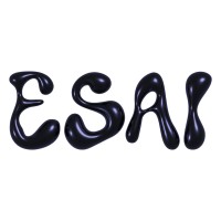ESAI logo - Similar company to Panopen Education