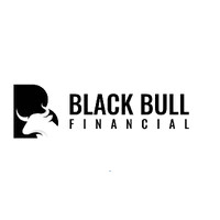 Black Bull Financial logo - Similar company to Vs1