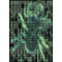 Bugbyte Computer Support
