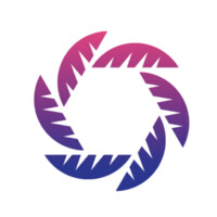 Elegance - Web & Video Agency