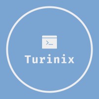 Turinix logo - Similar company to Team Nbi