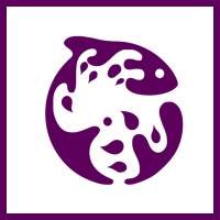 Purple Koi logo - Similar company to Ibc