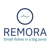 CSA REMORA logo - Similar company to Observatório Oceânico Da Madeira