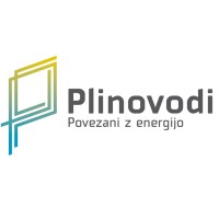 PLINOVODI d.o.o. logo - Similar company to Pico Flow Controls