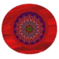 CEO Essence logo - Similar company to Risk Integrity Safety Knowledge, Inc. (Risk, Inc.)