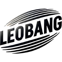 LeoBang logo - Similar company to Chaitanya Server