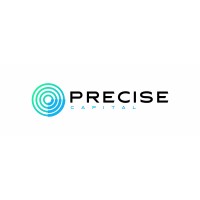 Precise Capital logo - Similar company to Precise Capital