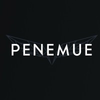 PENEMUE logo - Similar company to Bhalli Software Solution
