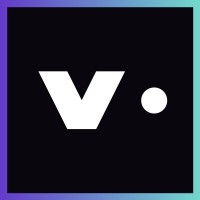 Virtus Partners logo - Similar company to Brinca