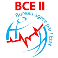 BCEII logo - Similar company to Burr Computer Environments, Inc