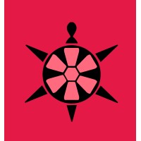 Belgrade Turtle Cruise logo - Similar company to Galaxy Code