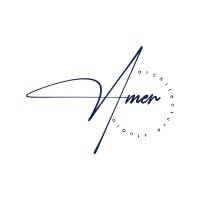 AMER STUDIO logo - Similar company to +More