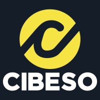 Cibeso logo - Similar company to Morphcast