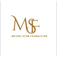MEYENI STEM FOUNDATION logo - Similar company to Agenda Women