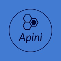 Apini Consulting Limited logo - Similar company to Globalnet It Innovations Ltd.