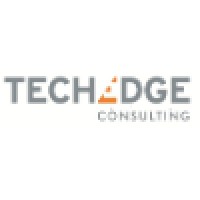 TechEdge Consulting, LLC logo - Similar company to Tech Age International