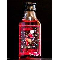 Flamingoshot logo - Similar company to Vagcoding Twente
