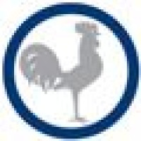Rooster Media