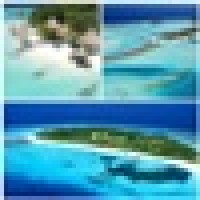 Summer Maldives