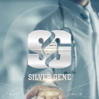 Silver Gene, LLC logo - Similar company to Pinpoint Security, Llc