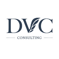 DVC CONSULTING SRL logo - Similar company to Dv Consulting