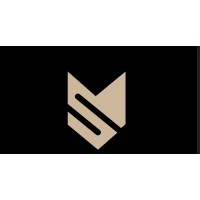 Synott Global logo - Similar company to Andrez Finance