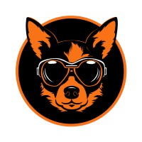 CoderStein logo - Similar company to Flarmio