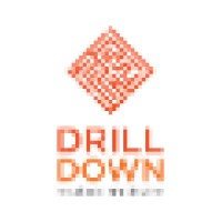 Drill Down - Assessoria de Marketing, Pesquisa de Mercado e BI logo - Similar company to Diálogo Pesquisa De Mercado