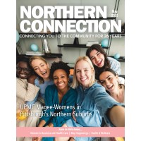 Northern Connection Magazine logo - Similar company to Ambiance