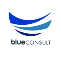 BLUECONSULT logo - Similar company to Blue Consult