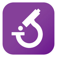 Slideflow Labs logo - Similar company to Braiv