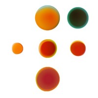 KNGF Koninklijk Nederlands Genootschap voor Fysiotherapie logo - Similar company to Ysveld Fysio