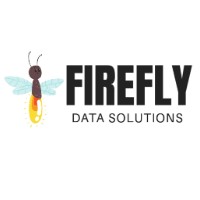 Firefly Data Solutions logo - Similar company to Helpdesk247.Online