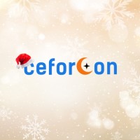 Ceforcon - Academia de Treinamento e Consultoria logo - Similar company to Ceforcon Academia
