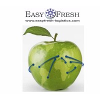 Easyfresh Logistics logo - Similar company to Frigo Group