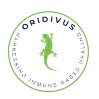 Oridivus logo - Similar company to The Thought Bureau