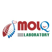 MolQ laboratory logo - Similar company to Molq Entertainment Inc.