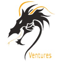 Dragon Ventures logo - Similar company to Dragon Consulting (Pty) Ltd