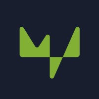 Magnus VA logo - Similar company to Elevate.Lat