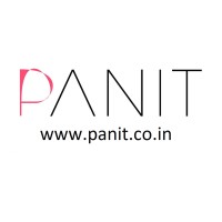 PANIT logo - Similar company to Awstro
