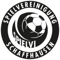 SV Schaffhausen logo - Similar company to Ac Taverne