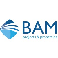 BAM PROJECTS & PROPERTIES logo - Similar company to Vytransit