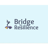 Bridge To Resilience